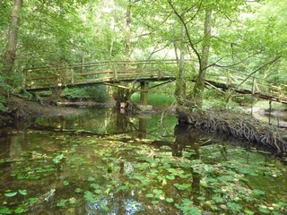 ancien pont des Scouts